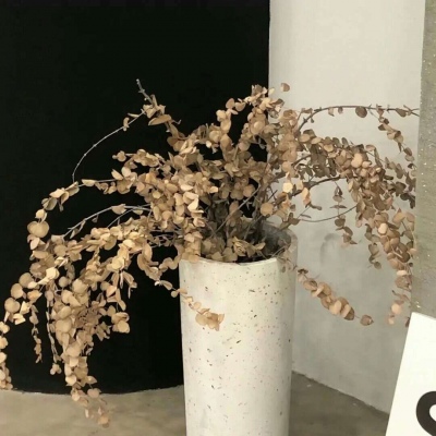 兽设山谷场景设计兽圈群